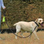 JOYTALE Pet Leash And Collar Set, Reflective Leash And Adjustable Nylon Collar for Small Medium & Large Dogs
