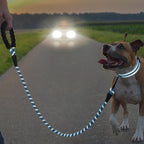 JOYTALE Pet Leash And Collar Set, Reflective Leash And Adjustable Nylon Collar for Small Medium & Large Dogs