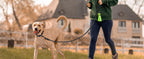 JOYTALE Pet Leash And Collar Set, Reflective Leash And Adjustable Nylon Collar for Small Medium & Large Dogs