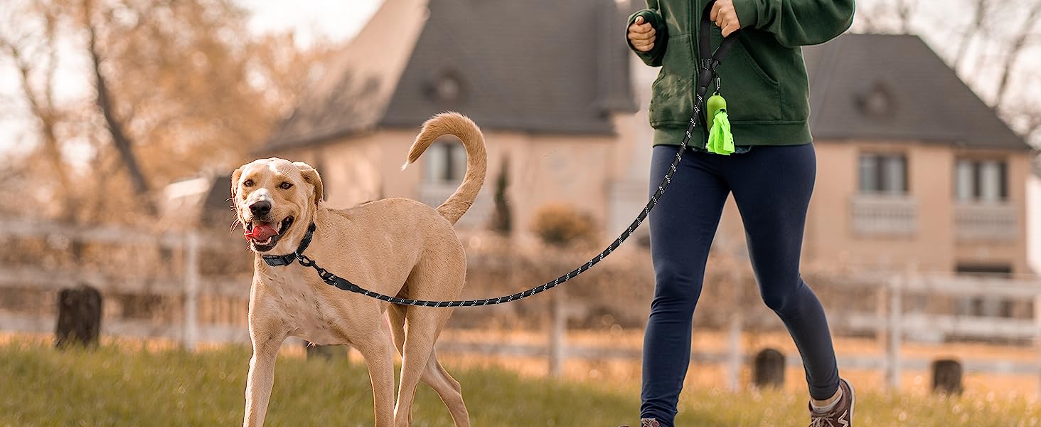 JOYTALE Pet Leash And Collar Set, Reflective Leash And Adjustable Nylon Collar for Small Medium & Large Dogs