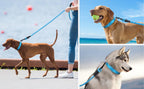 JOYTALE Pet Leash And Collar Set, Reflective Leash And Adjustable Nylon Collar for Small Medium & Large Dogs