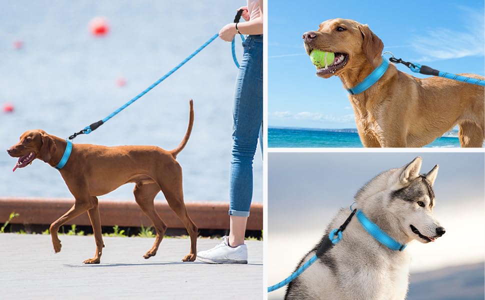 JOYTALE Pet Leash And Collar Set, Reflective Leash And Adjustable Nylon Collar for Small Medium & Large Dogs