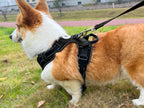 JOYTALE Dog Harness and Leash set,No Pull Adjustable Reflective Oxford Dog Harness Easy Control Medium Large Dog Harness with A Free Heavy Duty 152.4cm Dog Leash