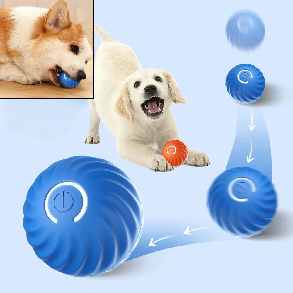 Palla giocattolo per cani, palla rimbalzante automatica che rotola, USB, intelligente, giocattolo interattivo per cani da masticare