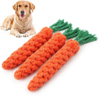 Giocattolo Dentale per Cuccioli – Carota in Corda Intrecciata, Resistente e Antimorso