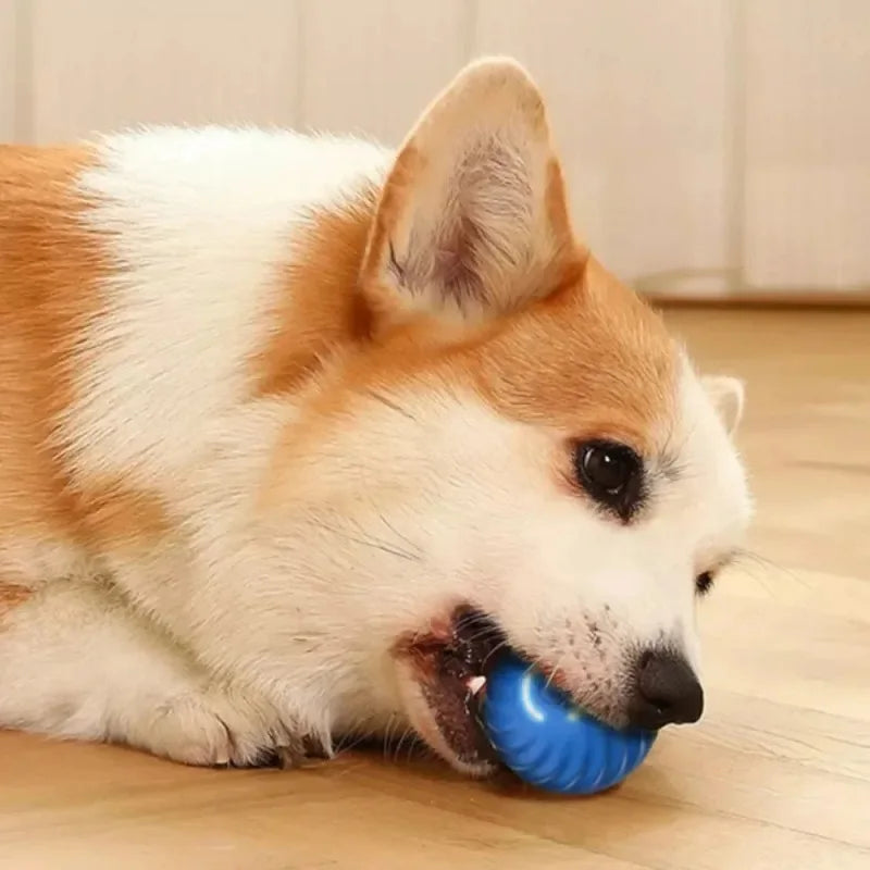 Palla giocattolo per cani, palla rimbalzante automatica che rotola, USB, intelligente, giocattolo interattivo per cani da masticare