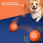 Palla giocattolo per cani, palla rimbalzante automatica che rotola, USB, intelligente, giocattolo interattivo per cani da masticare