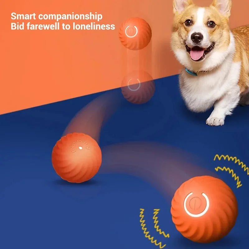 Palla giocattolo per cani, palla rimbalzante automatica che rotola, USB, intelligente, giocattolo interattivo per cani da masticare