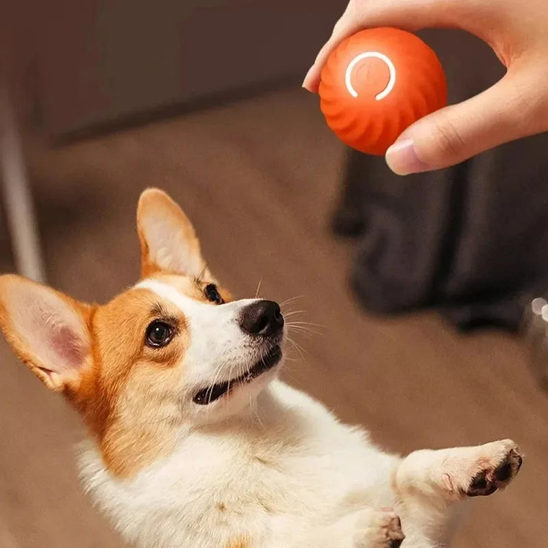 Palla giocattolo per cani, palla rimbalzante automatica che rotola, USB, intelligente, giocattolo interattivo per cani da masticare