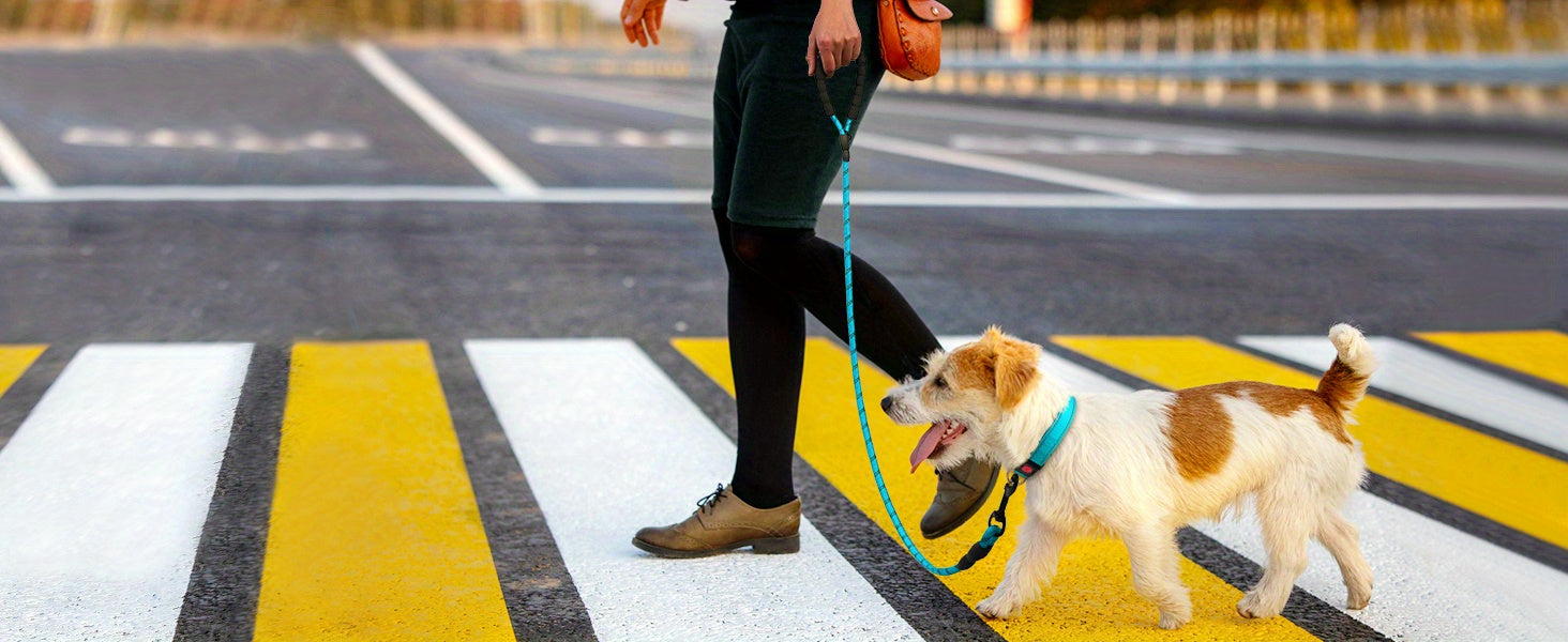 JOYTALE Pet Leash And Collar Set, Reflective Leash And Adjustable Nylon Collar for Small Medium & Large Dogs
