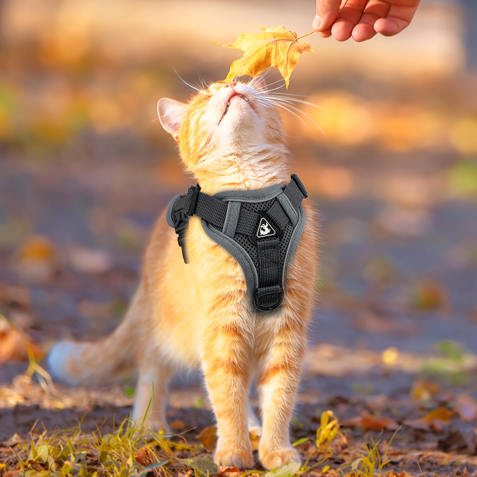 Vest-style pet harness, cat leash and collar set, soft walking leash for cats, anti-escape adjustable cat leash, reflective vest jacket, breathable kitten harness suit, easy to wear, suitable for outdoor walks